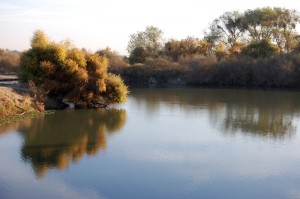 San_Joaquin_River-300x199.jpg