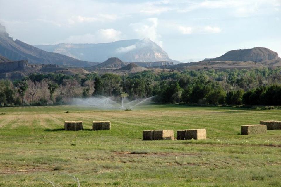 Upper Basins stakeholders are concerned that additional agricultural conservation may lead to more "buy and dry" permanant fallowing.