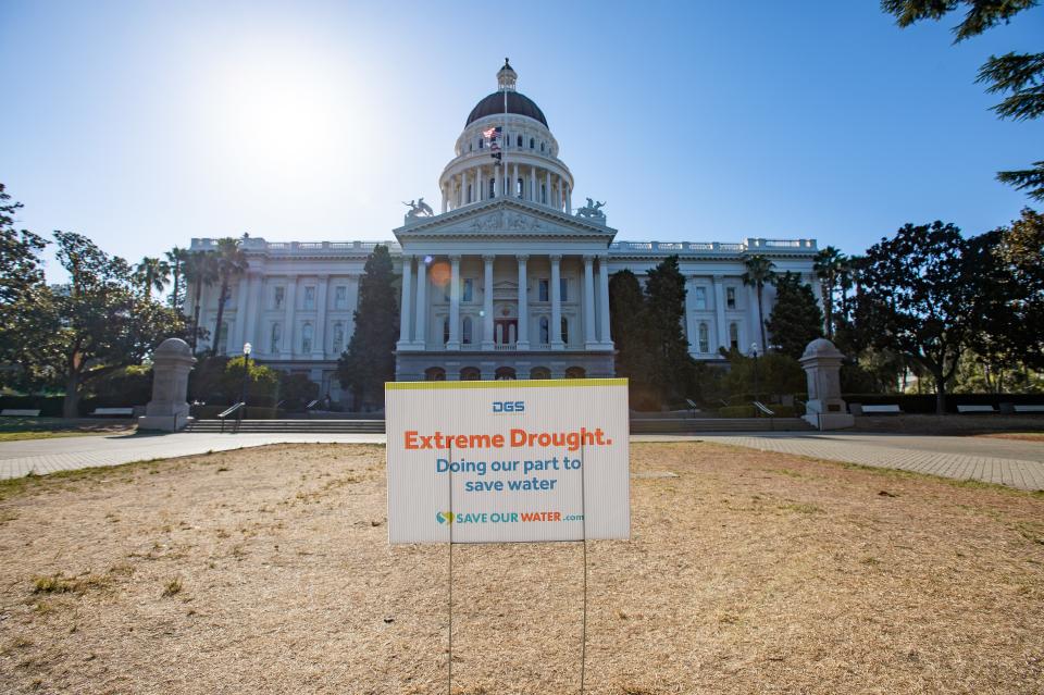 Dry lawn at State Capitol