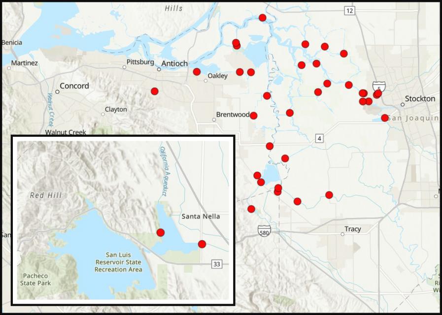 Image shows map of where golden mussels have been found in the Sacramento-San Joaquin Delta and O'Neill Forebay in Merced County.