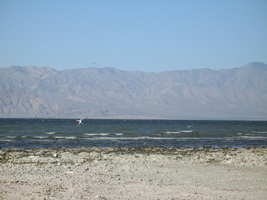 Salton Sea