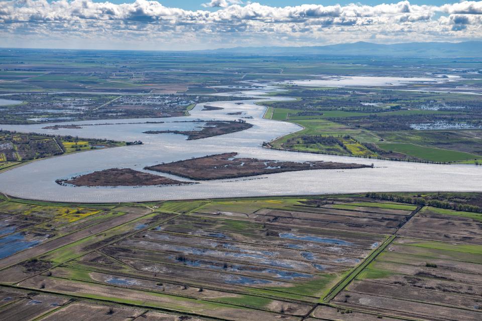 The Sacramento-San Joaquin Delta, California's vital water hub and a source of ongoing conflict over water use and the environment. 