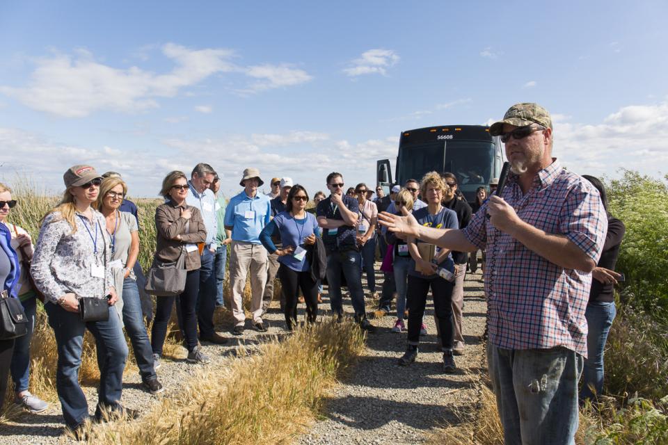 Bay-Delta Tour stop at Twitchell Island